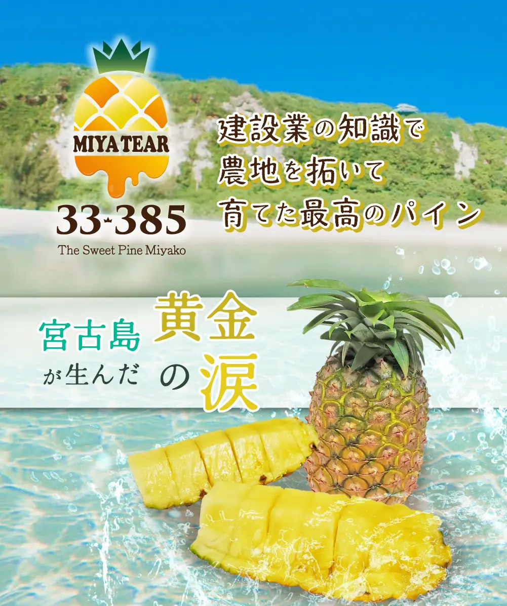 宮古島が生んだ黄金の涙