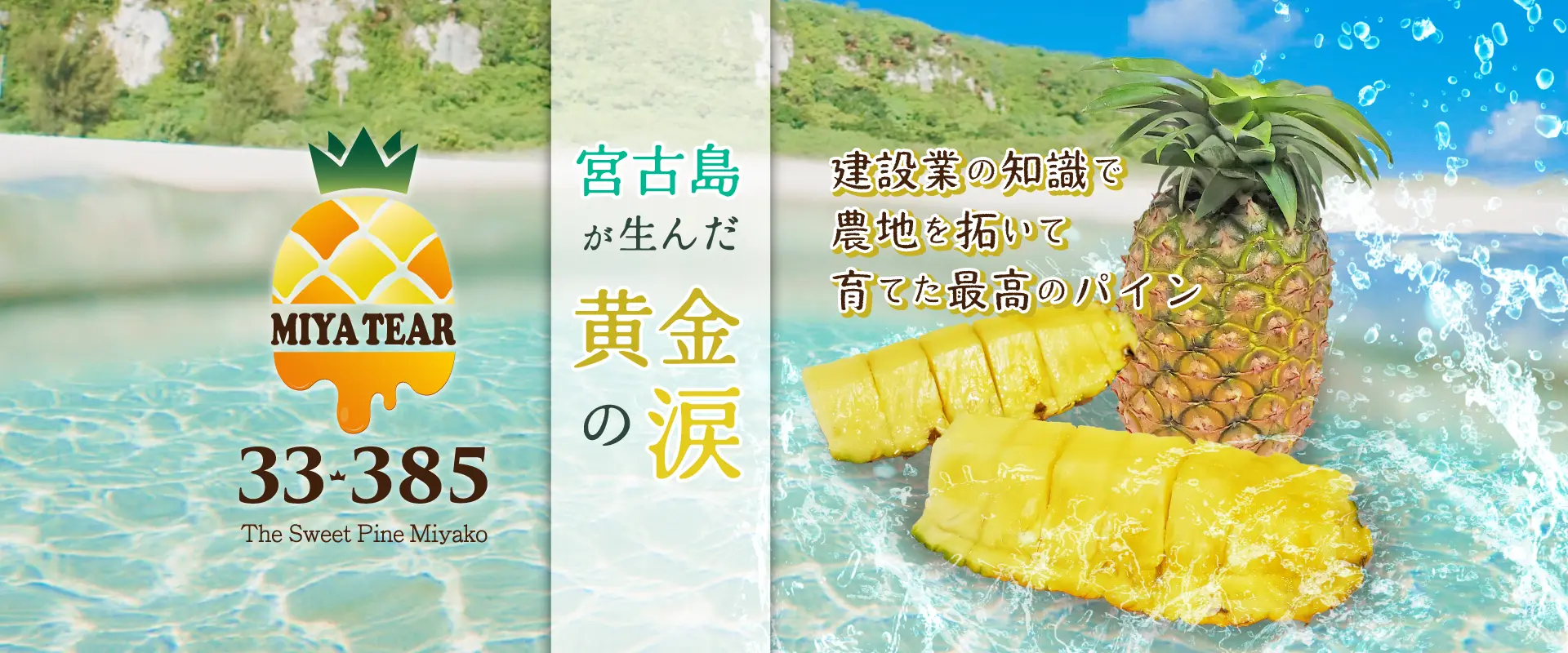 宮古島が生んだ黄金の涙