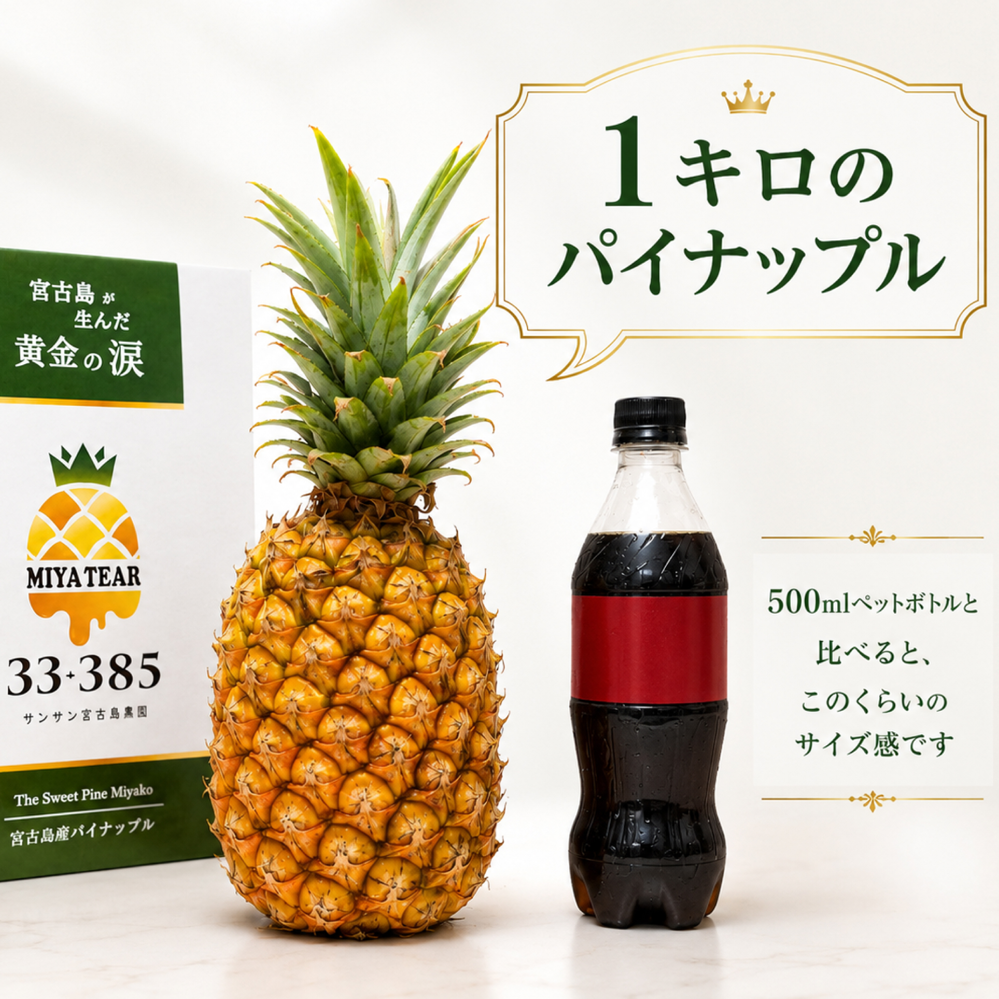 宮古島パイン MIYATEAR M 2.4kg - 画像 (12)