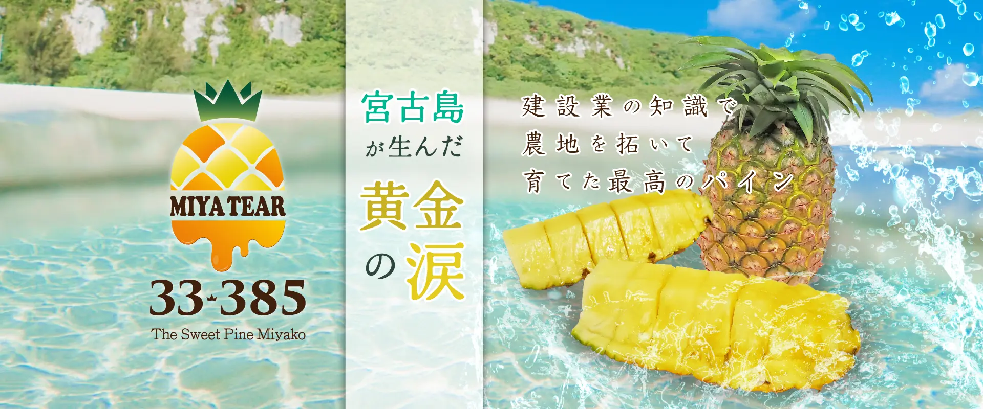 宮古島が生んだ黄金の涙
