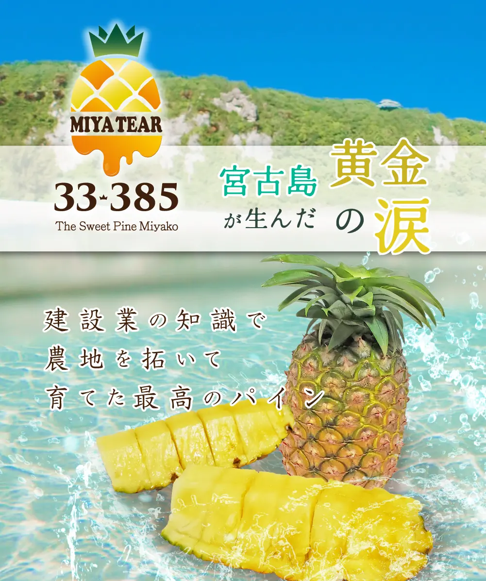 宮古島が生んだ黄金の涙