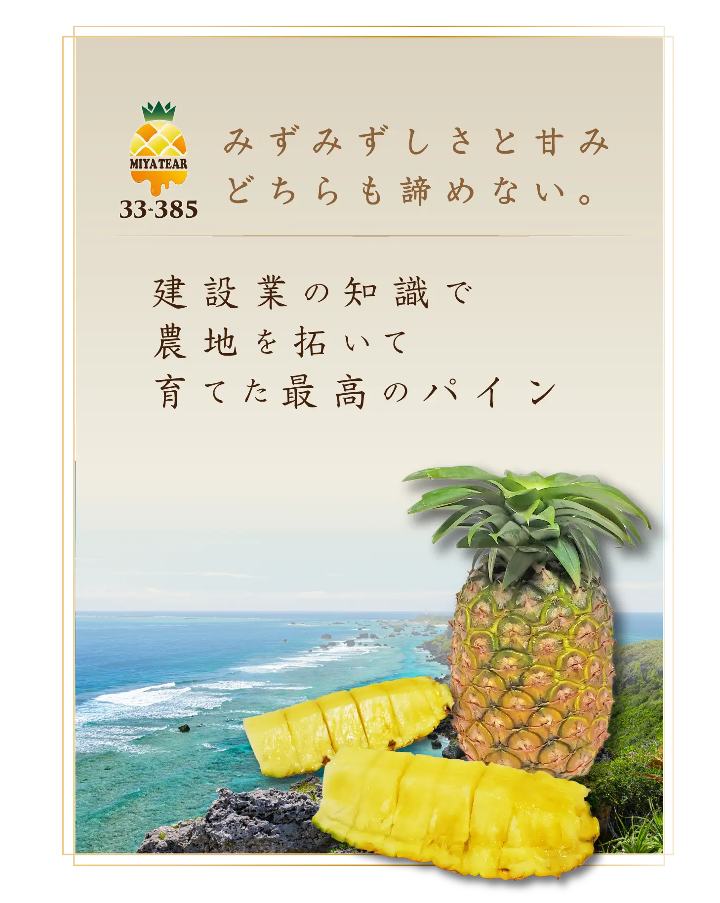 宮古島が生んだ黄金の涙