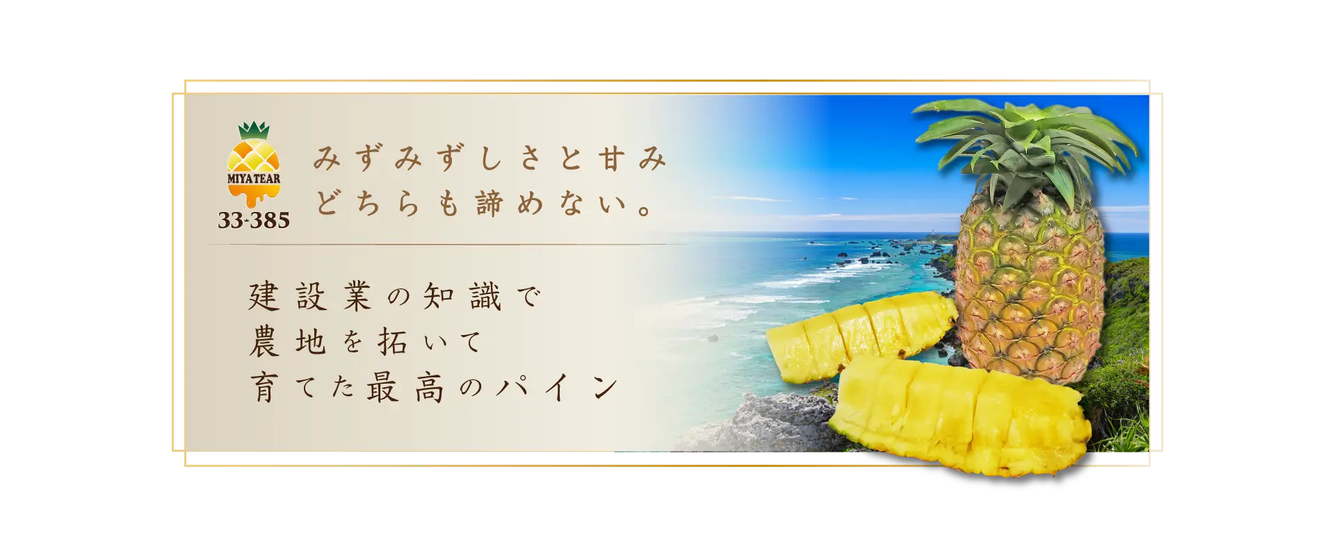 宮古島が生んだ黄金の涙