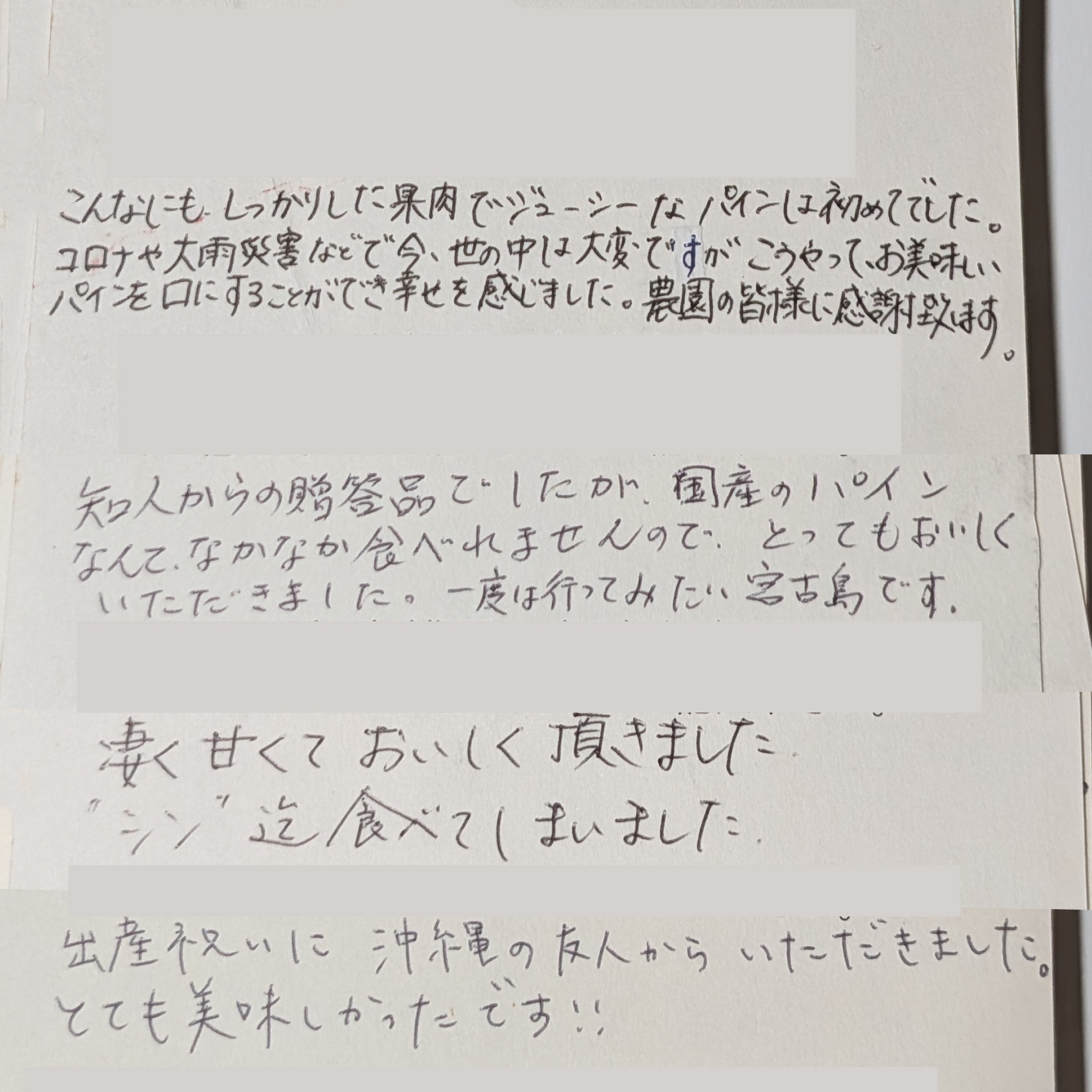 宮古島パイン MIYATEAR M 2.4kg - 画像 (8)