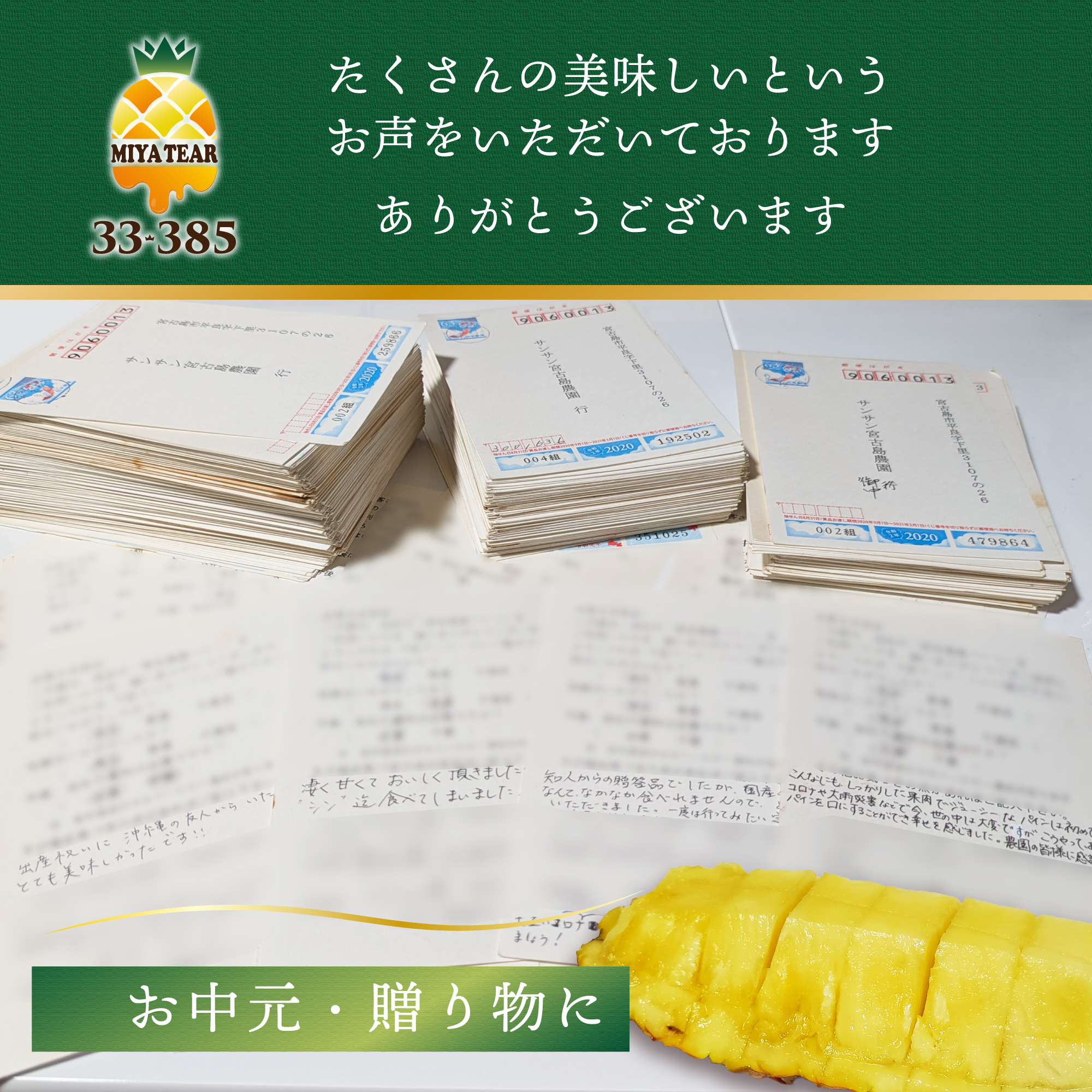 宮古島パイン MIYATEAR M 2.4kg - 画像 (4)