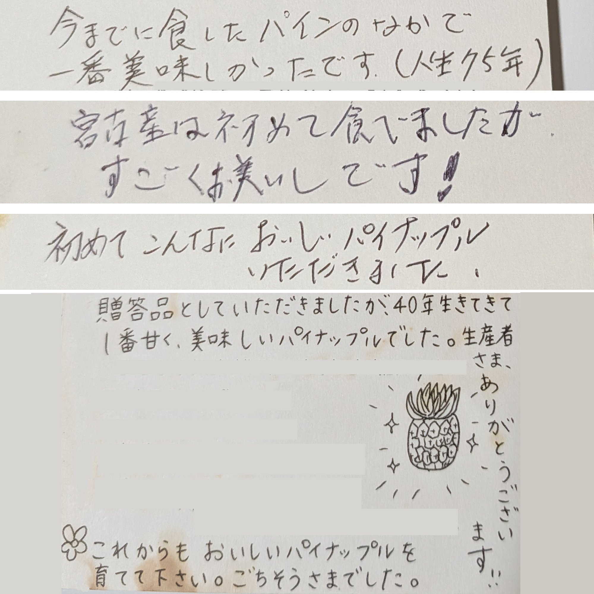 宮古島パイン MIYATEAR M 2.4kg - 画像 (9)